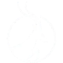 AEHL logo