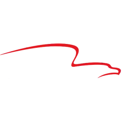 AFG logo