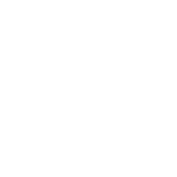 AI logo