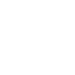 AIG logo