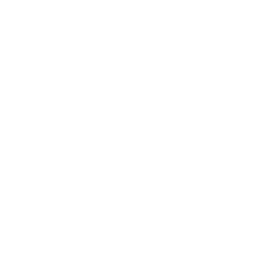AIP logo
