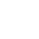 AIV logo