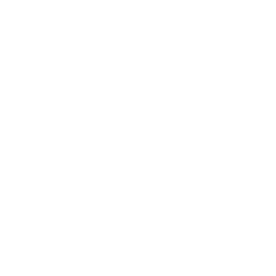 ALC logo