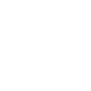 ALV logo