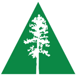 AMSF logo