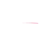 AN logo