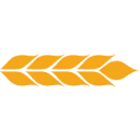ANDE logo