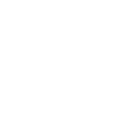 ANET logo