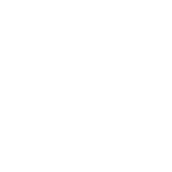 APH logo