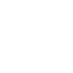 APT logo
