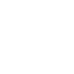 AVA logo