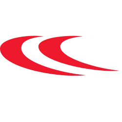 AYI logo