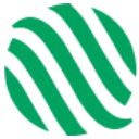 BDSX logo