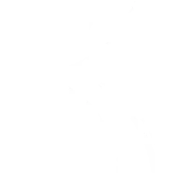 BEDU logo