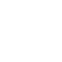 BIVI logo
