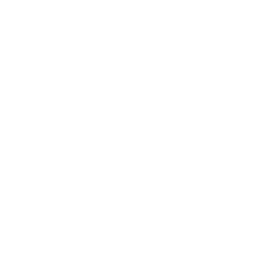 BLIN logo