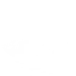 BNRG logo
