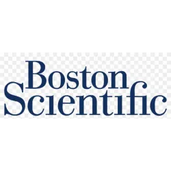 BSX logo