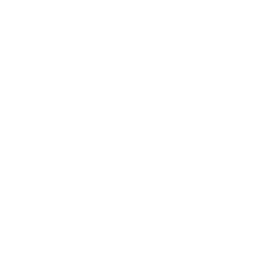 BVS logo