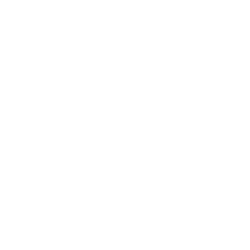 BWA logo