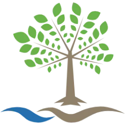 BYSI logo