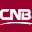 CCNE logo