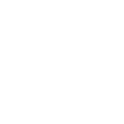 CVE logo