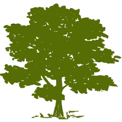 CYH logo