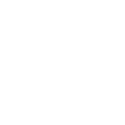 DHI logo