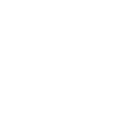 DIS logo