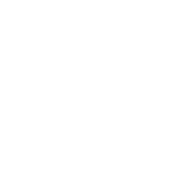 DLO logo