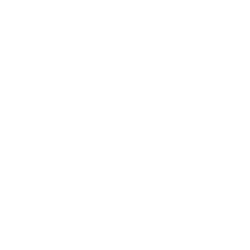 FAST logo