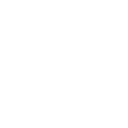 FGI logo