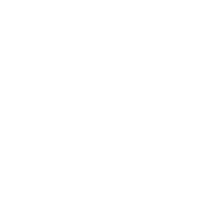 HIMS logo