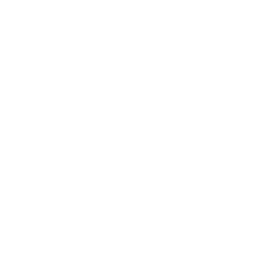 IINN logo