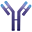 IMVT logo