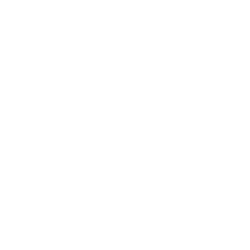 IRBT logo