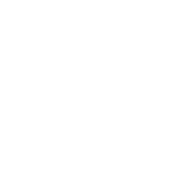 LIPO logo