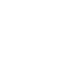 LMT logo