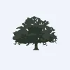 LOKV logo