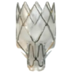 LUNG logo