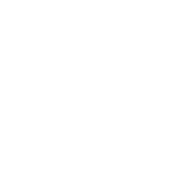MAIN logo