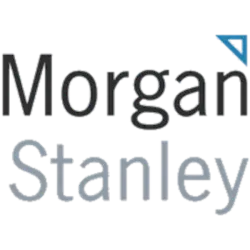 MS logo