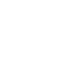 NEON logo