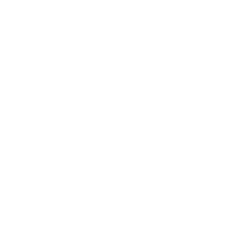 NLY logo