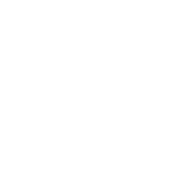 NTAP logo