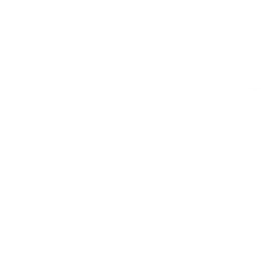 NTZ logo