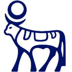 NVO logo