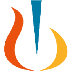 NVS logo