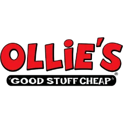 OLLI logo